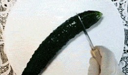 吃瓜表情包gif,趣味横生的网络文化现象