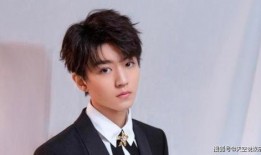 娱乐吃瓜蜀黍王俊凯小说