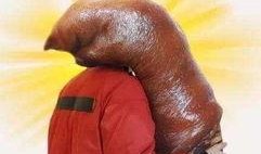 女人说吃瓜是什么意思