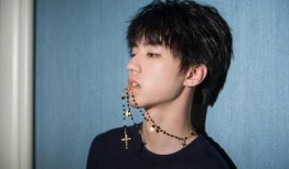 娱乐吃瓜蜀黍王俊凯小说