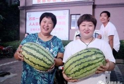 今日吃瓜汇总,娱乐圈热点事件盘点