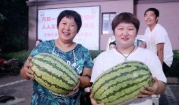 今日吃瓜汇总,娱乐圈热点事件盘点